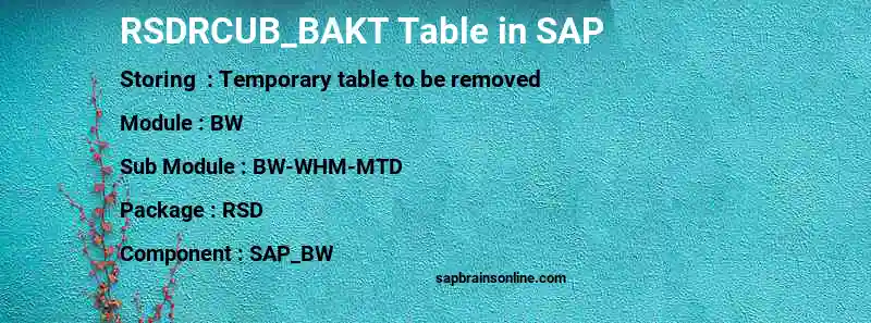 SAP RSDRCUB_BAKT table