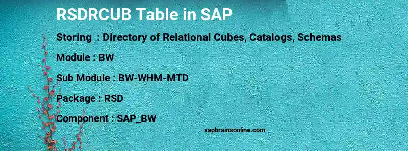 SAP RSDRCUB table