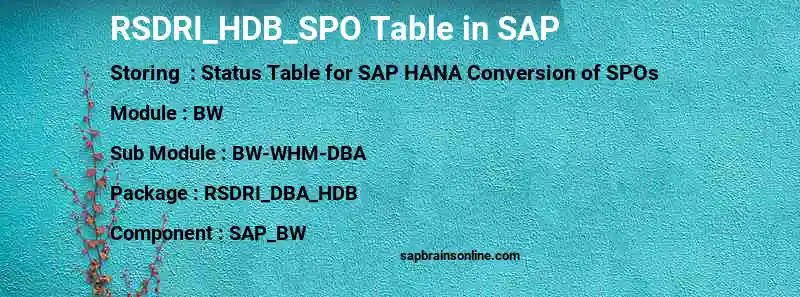 SAP RSDRI_HDB_SPO table