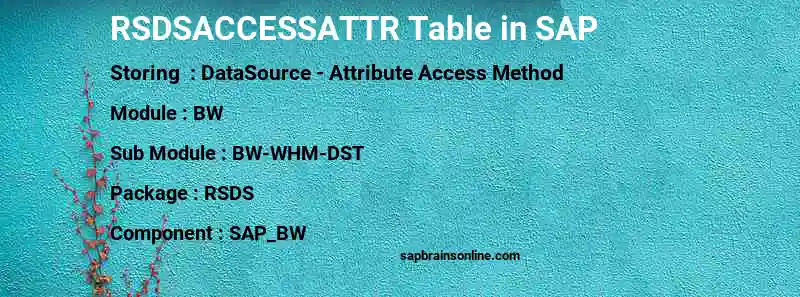 SAP RSDSACCESSATTR table