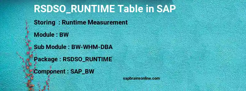 SAP RSDSO_RUNTIME table