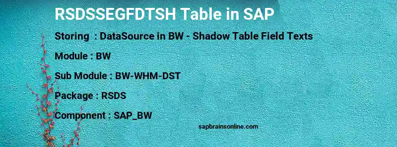 SAP RSDSSEGFDTSH table