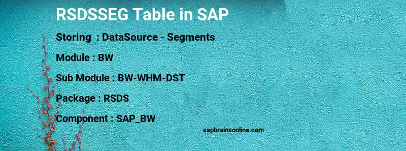 SAP RSDSSEG table