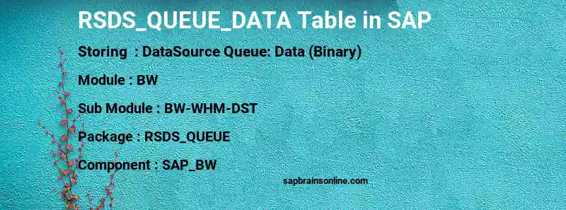 SAP RSDS_QUEUE_DATA table