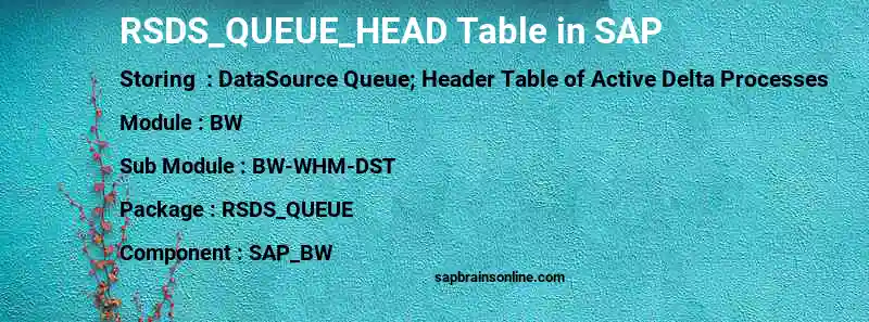 SAP RSDS_QUEUE_HEAD table