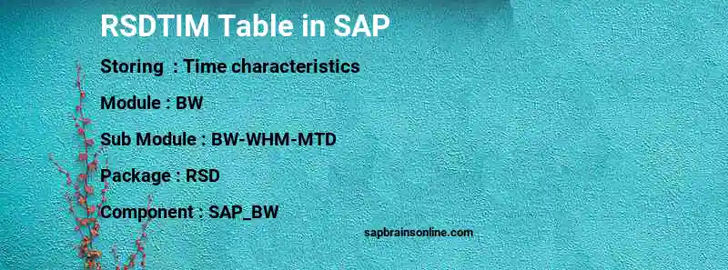 SAP RSDTIM table