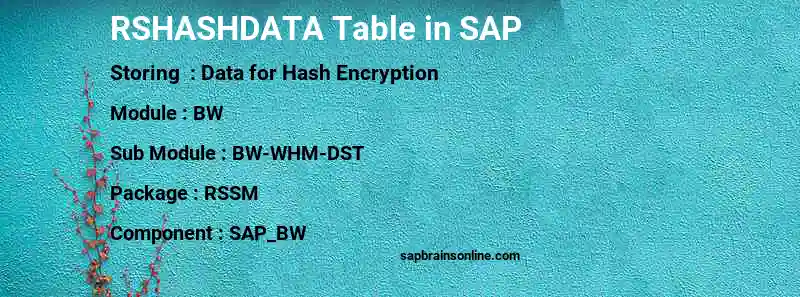 SAP RSHASHDATA table