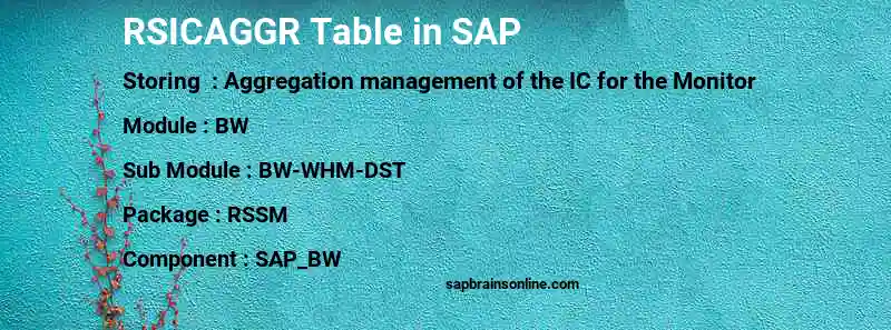 SAP RSICAGGR table