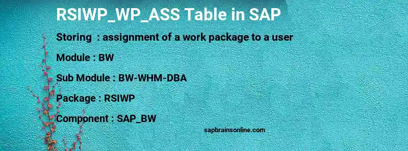 SAP RSIWP_WP_ASS table