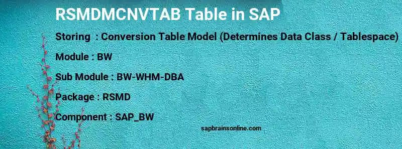 SAP RSMDMCNVTAB table