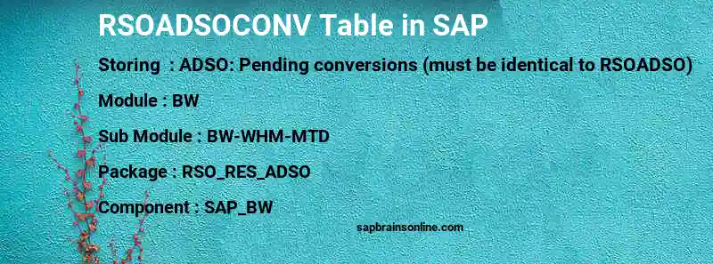 SAP RSOADSOCONV table