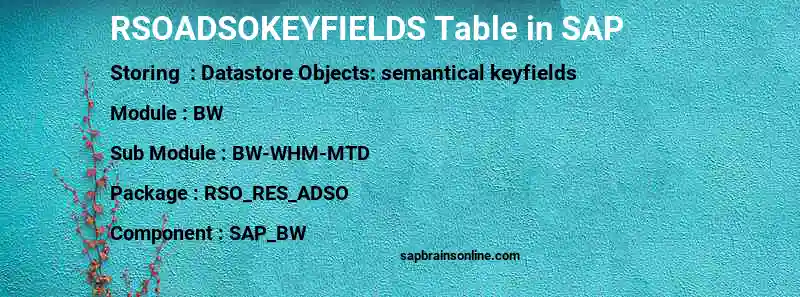 SAP RSOADSOKEYFIELDS table