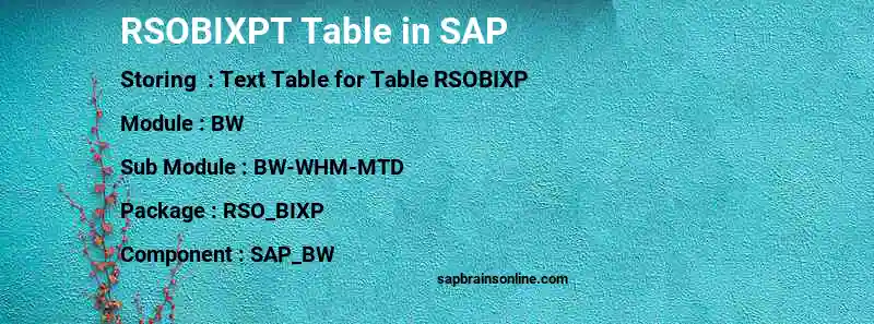 SAP RSOBIXPT table