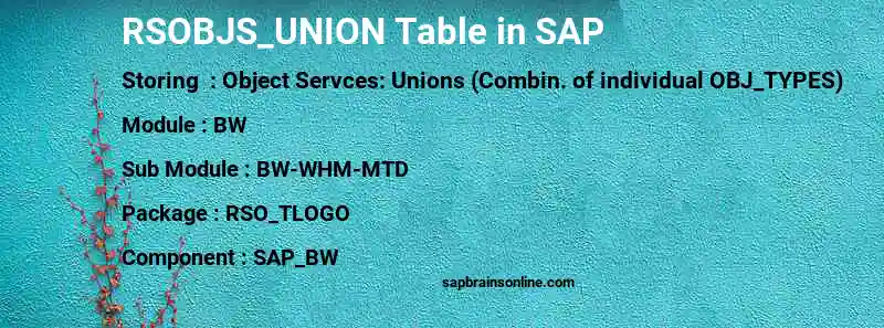 SAP RSOBJS_UNION table