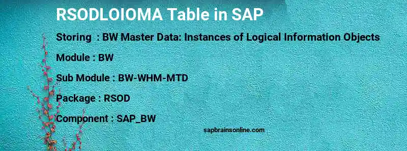 SAP RSODLOIOMA table
