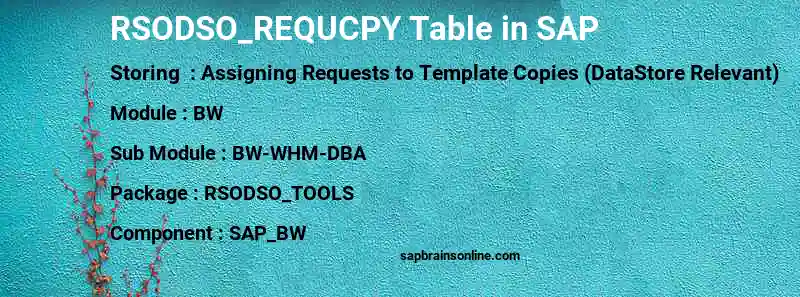 SAP RSODSO_REQUCPY table