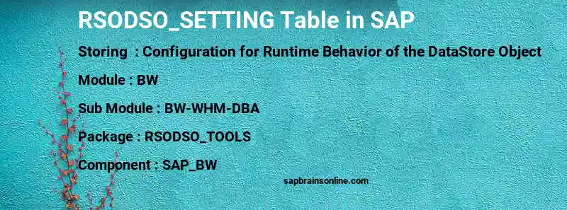 SAP RSODSO_SETTING table