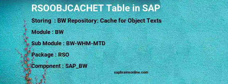 SAP RSOOBJCACHET table