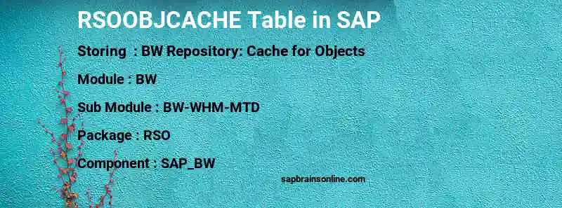 SAP RSOOBJCACHE table