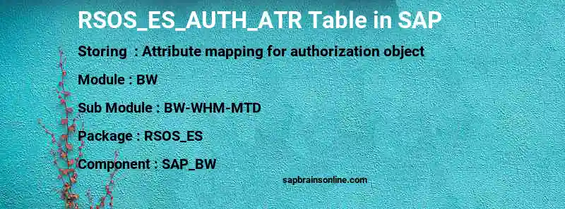 SAP RSOS_ES_AUTH_ATR table