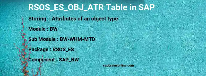 SAP RSOS_ES_OBJ_ATR table