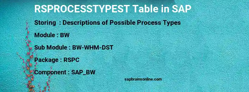 SAP RSPROCESSTYPEST table