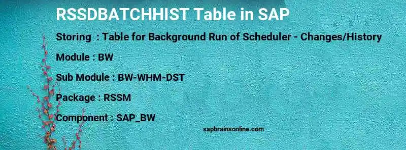 SAP RSSDBATCHHIST table