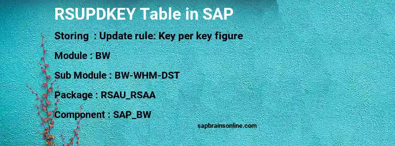 SAP RSUPDKEY table