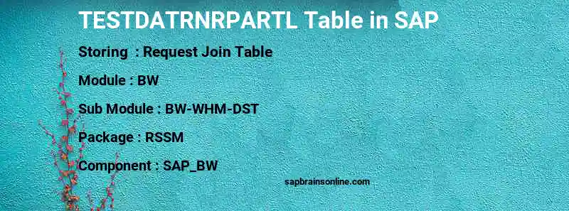 SAP TESTDATRNRPARTL table