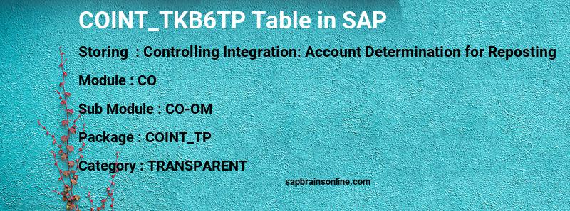 SAP COINT_TKB6TP table