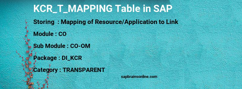 SAP KCR_T_MAPPING table