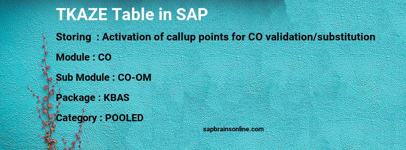 SAP TKAZE table