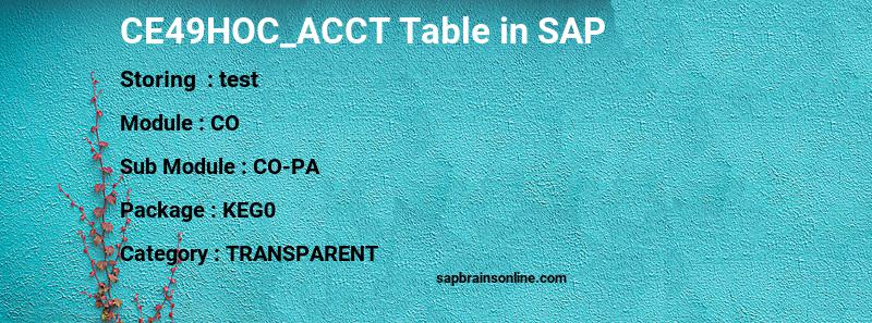 SAP CE49HOC_ACCT table