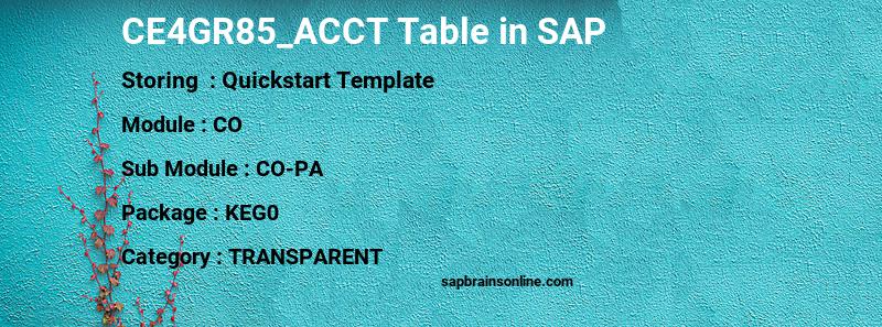 SAP CE4GR85_ACCT table