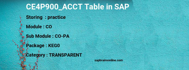 SAP CE4P900_ACCT table