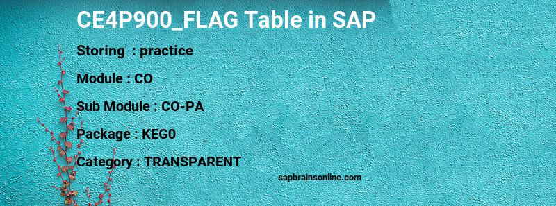 SAP CE4P900_FLAG table