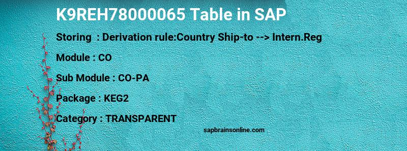 SAP K9REH78000065 table