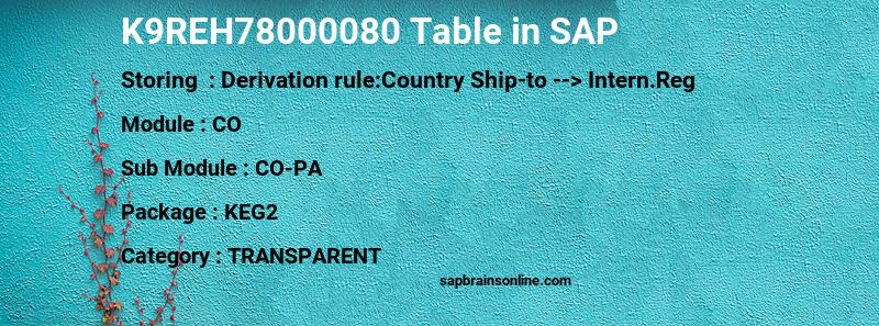 SAP K9REH78000080 table