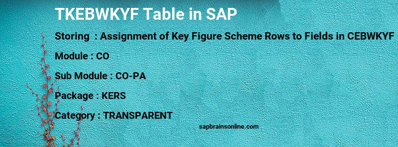 SAP TKEBWKYF table