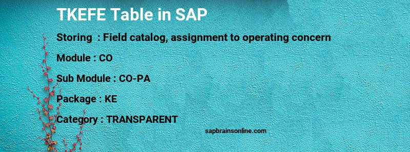 SAP TKEFE table