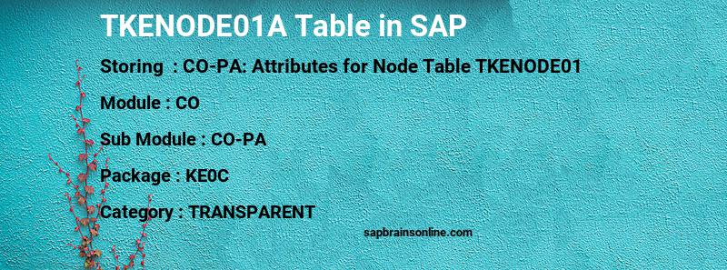 SAP TKENODE01A table