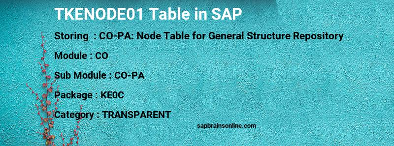 SAP TKENODE01 table