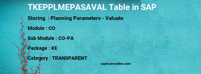SAP TKEPPLMEPASAVAL table