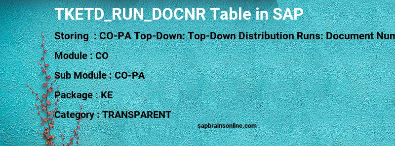 SAP TKETD_RUN_DOCNR table