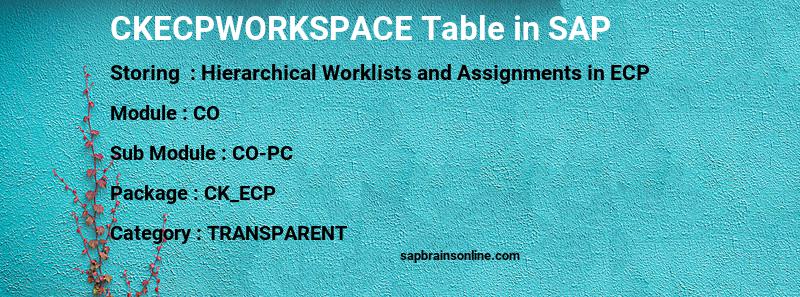 SAP CKECPWORKSPACE table