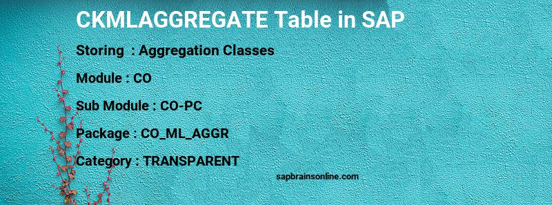 SAP CKMLAGGREGATE table