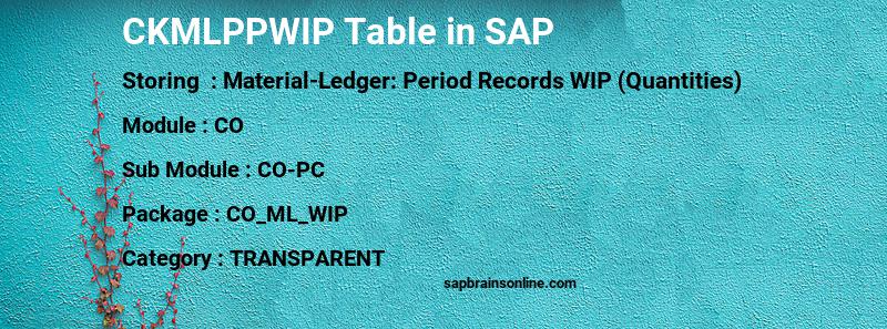 SAP CKMLPPWIP table