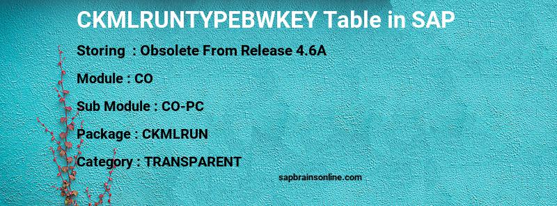 SAP CKMLRUNTYPEBWKEY table