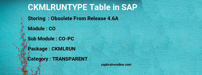 SAP CKMLRUNTYPE table