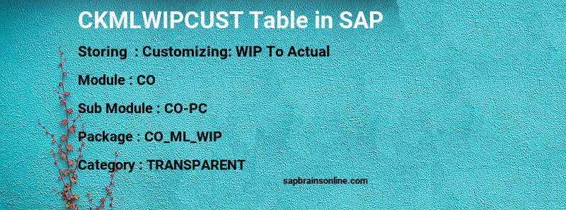 SAP CKMLWIPCUST table